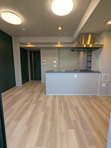 THE LIONS forsia文京湯島の設備|インターネット無料、カウンターキッチン、全室にエアコンと照明付きです