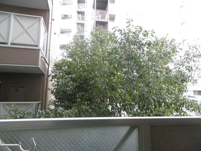 サンライズコートの展望