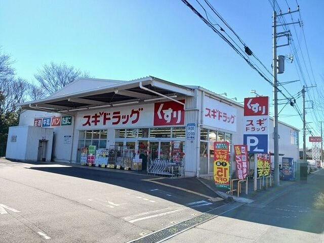 グリーン　フラット　Ａの周辺|ドラックスギ上尾地頭方店まで650m