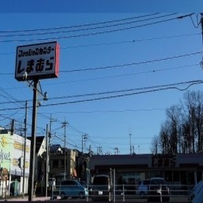 ＧＲＯＶＥ　ＳＴＡＧＥ　Ａ棟の周辺|しまむらまで950m