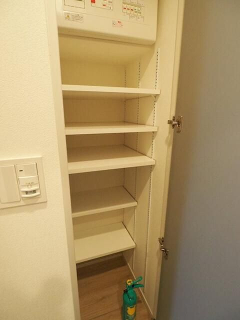 レジディア上野池之端の収納