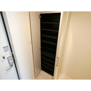 ハーモニーテラス新守山Hの収納