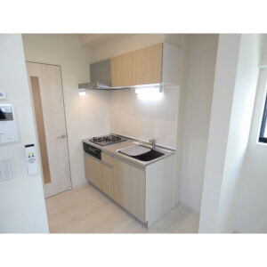 ハーモニーテラス新守山Hのキッチン