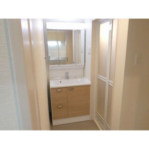 ハーモニーテラス新守山Hの洗面所