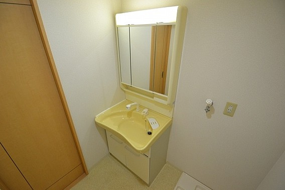 ワコーレアルテ上筒井の洗面所