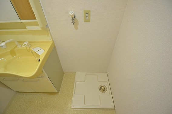 ワコーレアルテ上筒井の洗面所