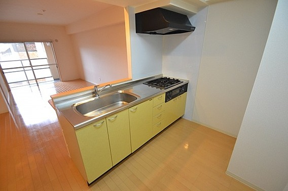 ワコーレアルテ上筒井のキッチン