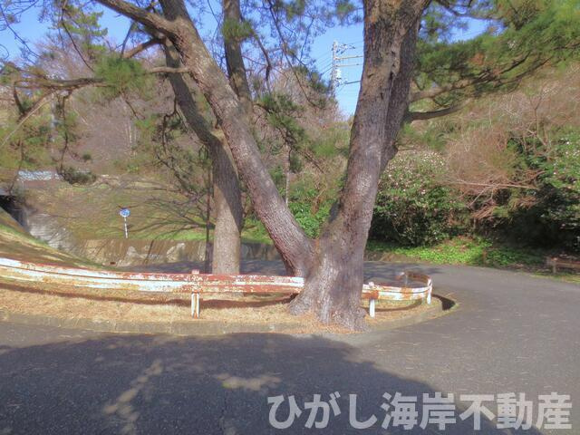 鎌倉市津西2丁目　売地の外観|  現地外観