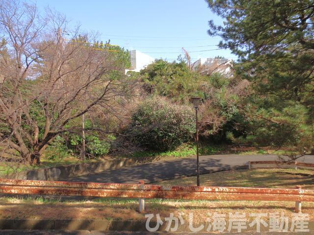 鎌倉市津西2丁目　売地の外観|  現地外観