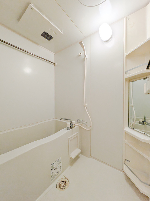 レセンテスパシオAの浴室