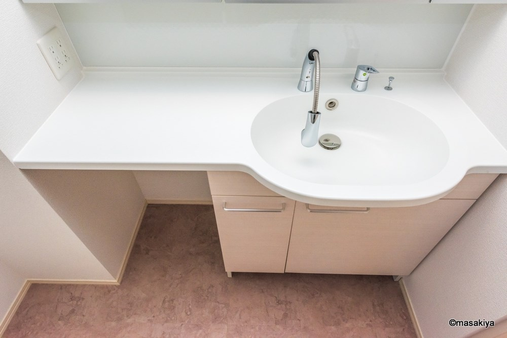 ルージュ 伊勢宮　A棟の洗面所|洗面・脱衣　シャンプードレッサー付