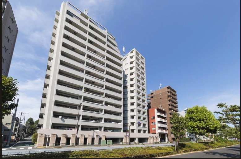 ★仲介手数料無料★TAKADANOBABA DUPLEXⅡ（新規リノベーション済み　南向きバルコニー）の外観