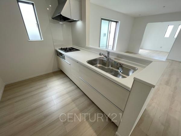 前橋市広瀬町B号棟のキッチン|シンクも大きく洗い物もしやすい浄水器付。シャワーヘッドは引き出し可能、シンクの隅々まで洗い流せます。