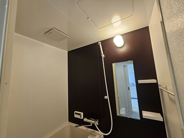 Luminart明石の浴室