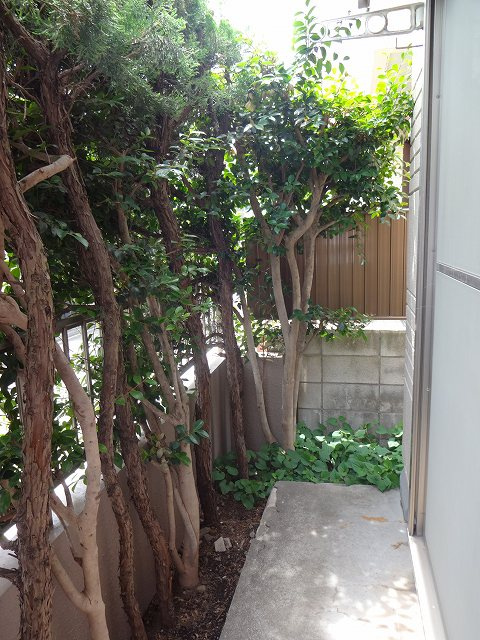 クレアモントハウスT＆S