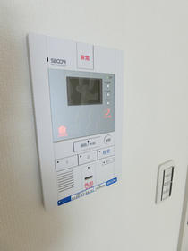 Rising Sunのセキュリティ