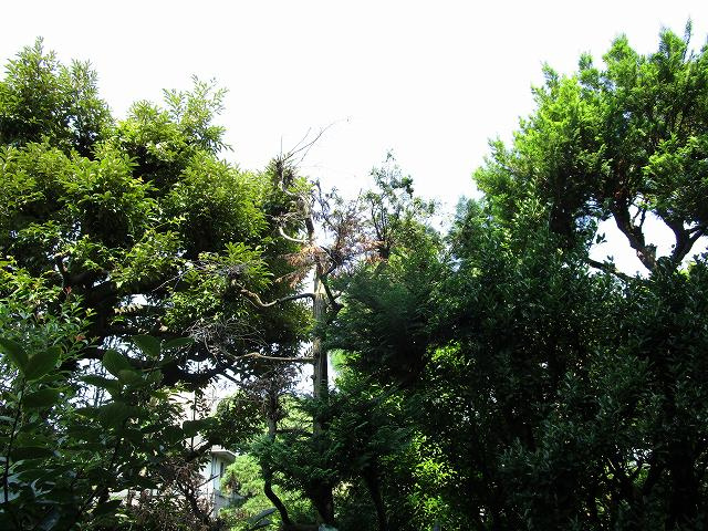 ハイツ三田の展望