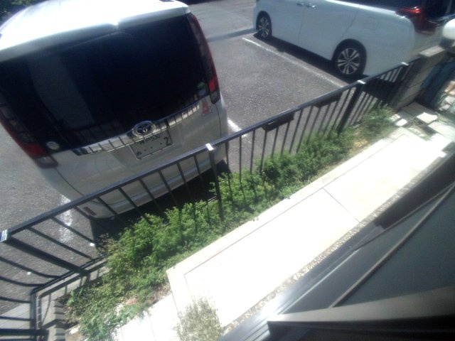 ユードミールの庭