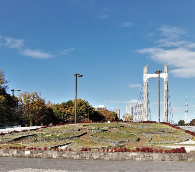 ｔｈｅ１０　ＴＯＹＯの地図|木場公園