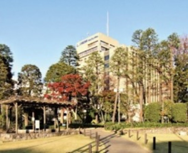 ｔｈｅ１０　ＴＯＹＯの地図|江東区役所