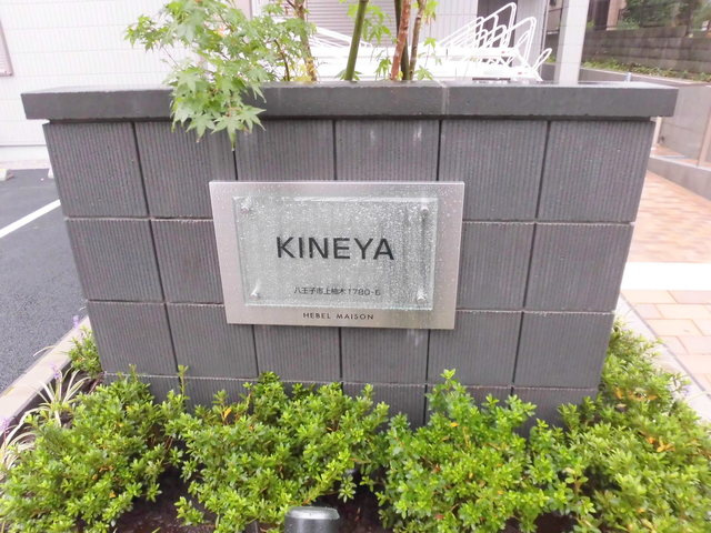 ＫＩＮＥＹＡのその他