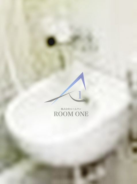 スプリングハウスの洗面所|洗面台です。