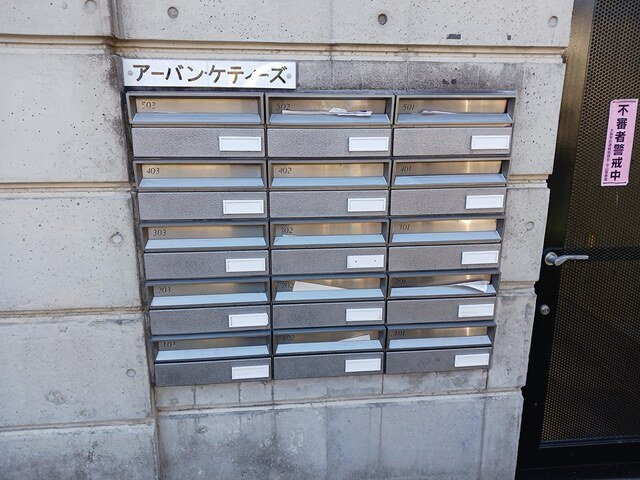 アーバン・ケティーズのその他