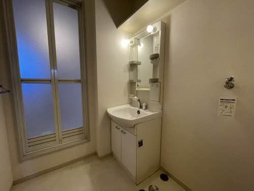 スプラウトハイツの洗面所