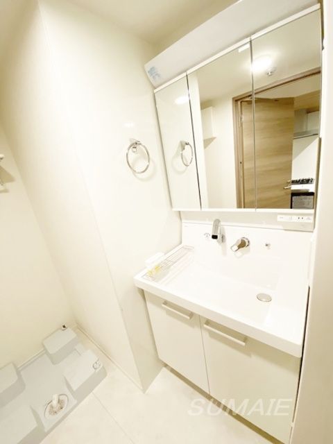 ルリアン北小岩Ⅱの洗面所|シャンプードレッサーです！