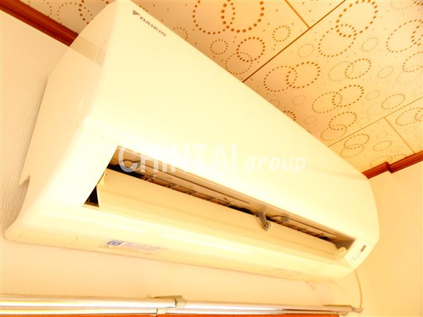 サンフラワーのその他