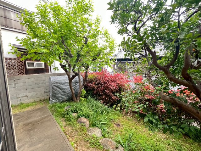 高丸1丁目戸建の庭