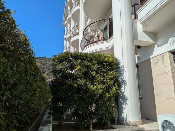 シーズ城ヶ崎の庭