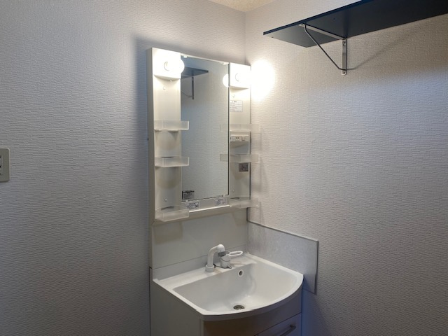 春日部市南１丁目の賃貸マンションの洗面所