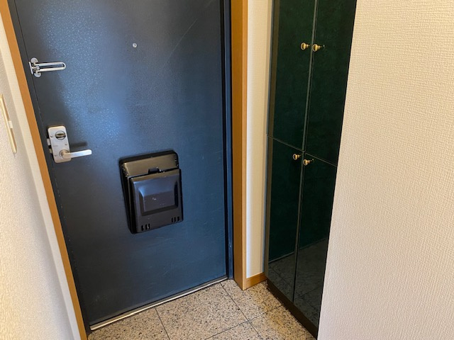 春日部市南１丁目の賃貸マンションの収納