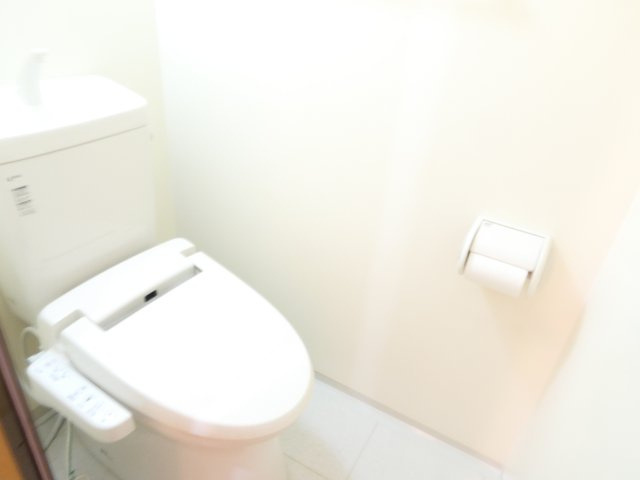 春日部市南１丁目の賃貸マンションのトイレ