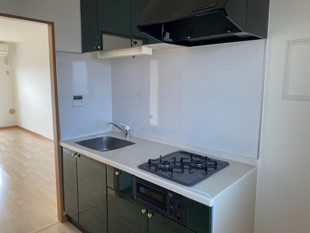 春日部市南１丁目の賃貸マンションのキッチン