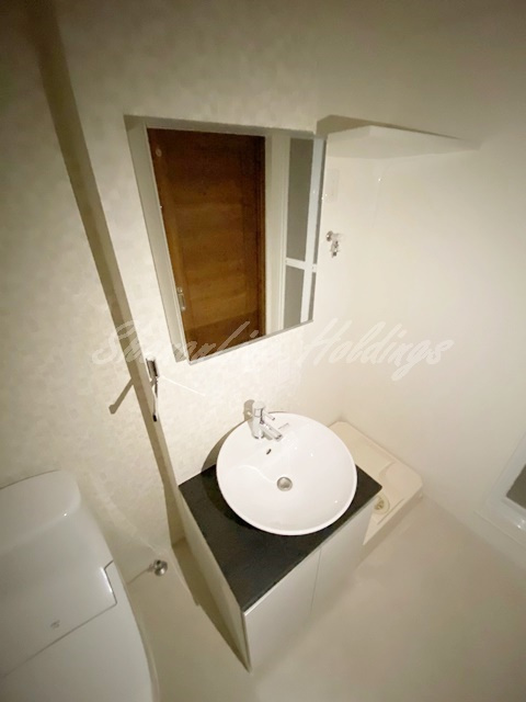 平塚市袖ケ浜のアパートの洗面所