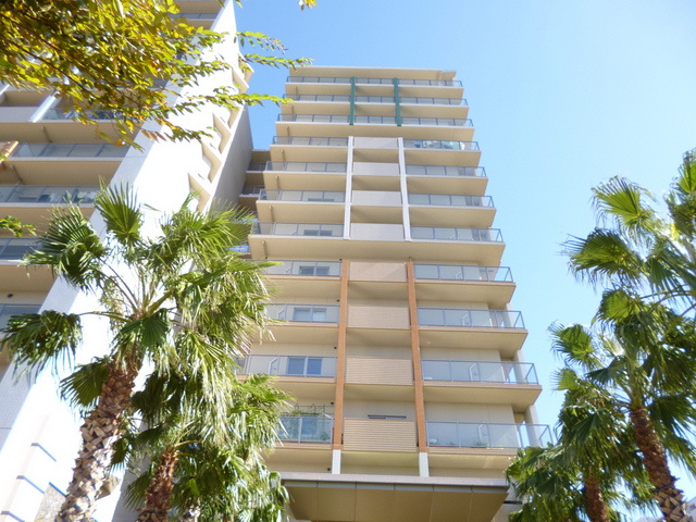 ロイヤルパークス新田の外観|買い物に便利な立地です☆