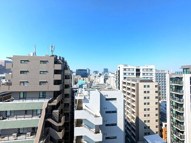 THE LIONS forsia文京湯島の設備|14F眺望