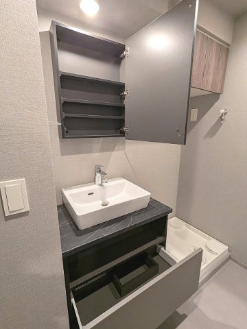 THE LIONS forsia文京湯島の設備|トイレと独立した洗面脱衣室、洗面台下にはヘルスメーターストック