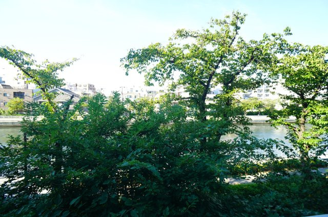 プライムメゾン清澄リバーフロントの展望|バルコニーからは、小名木川・桜並木・スカイツリーが望めます