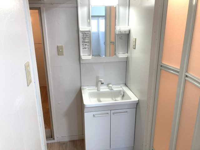 ドミールサニー緑町の洗面所|シャワー付きの独立洗面台