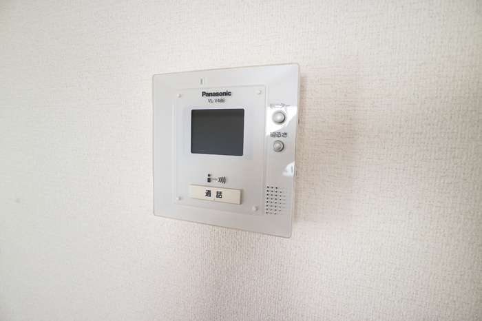 ラフィーネ林Ⅱのセキュリティ