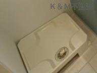 ＶＩＥＬＬのその他