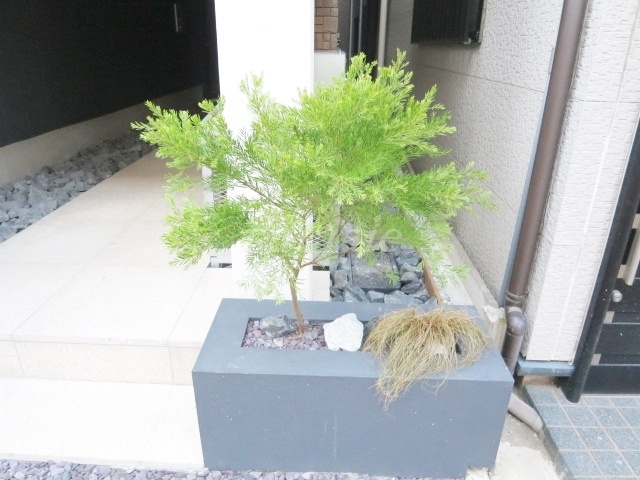 ａ-ｓｔｏｎｅ東十条のその他|緑があって癒されますね☆