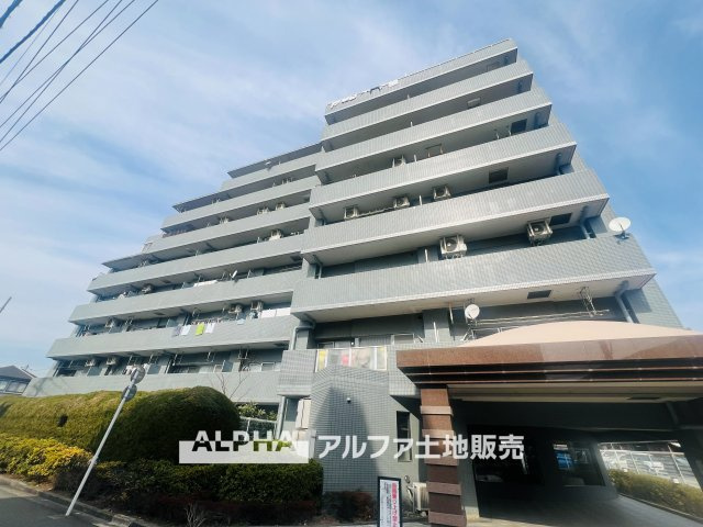 コスモ立川サングレイス