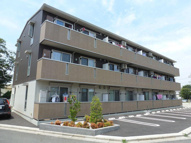 フローラ(Ｄ-ｒｏｏｍ)の画像