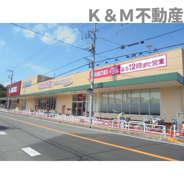 （ＰＥＴ可・Ｐ付）ＳＴＹＬＥ－ＰＡＴＩＯ柏東の周辺|カスミフードスクエア…まで899m 