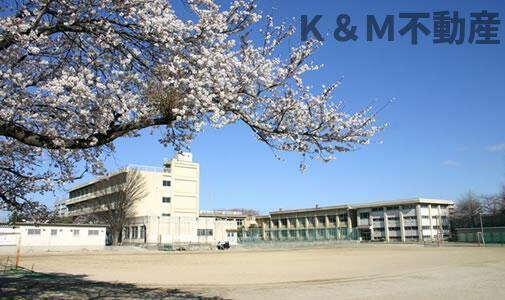 （ＰＥＴ可・Ｐ付）ＳＴＹＬＥ－ＰＡＴＩＯ柏東の周辺|柏市立柏第二中学校まで835m 