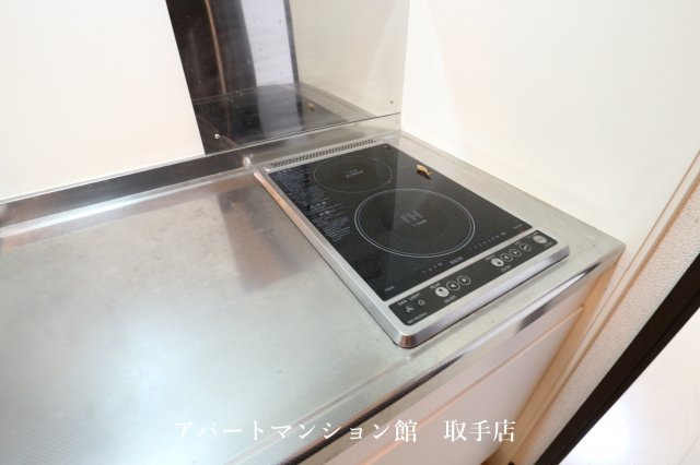 レオネクストムカイハラⅡのキッチン